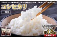 《令和6年産》【3ヵ月定期便】コシヒカリ 2kg×2 計4kg 一等米 お殿様のお米 お米 おこめ こしひかり コメ こめ ご飯 ごはん 国産 栃木県 壬生町