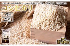 《令和6年産》コシヒカリ 玄米 2.5kg×2 計5kg 一等米 お殿様のお米 米 お米 おこめ こしひかり コメ こめ ご飯 ごはん 国産 栃木県 壬生町