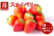 スカイベリー 平積み 約330g 2パック×1箱 計約660g いちご 苺 イチゴ フルーツ 果物 くだもの もぎたて 国産 栃木県 壬生町
※着日指定不可
※2024年2月中旬頃より順次発送予定