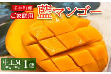 《先行受付》壬生町産家庭用藍マンゴー 中玉M（200g～300g）1個 マンゴー フルーツ 果物 くだもの 国産 栃木県 壬生町
※2024年7月中旬頃より順次発送予定
※北海道・沖縄・離島への配送不可
※着日指定不可