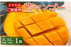 《先行受付》壬生町産家庭用藍マンゴー 大玉L（300g～400g）1個 マンゴー フルーツ 果物 くだもの 国産 栃木県 壬生町
※2024年7月中旬頃より順次発送予定
※北海道・沖縄・離島への配送不可
※着日指定不可