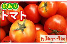 《令和6年産 先行予約開始》【訳あり】トマト 約3kg～4kg ｜ 不揃い 傷 キズ 大きさおまかせ 産地直送 野菜 とまと 夏野菜 果物 くだもの 栃木県 壬生町
※2024年3月中旬頃より順次発送予定
※着日指定不可