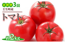 【3回定期便】《令和6年産 先行受付開始》トマト 約2kg ｜ 産地直送 野菜 とまと 夏野菜 果物 くだもの 栃木県 壬生町
※2024年3月中旬頃より順次発送予定
※着日指定不可