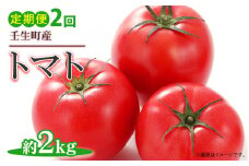 【2回定期便】《令和6年産 先行受付開始》トマト 約2kg ｜ 産地直送 野菜 とまと 夏野菜 果物 くだもの 栃木県 壬生町
※2024年3月中旬頃より順次発送予定
※着日指定不可