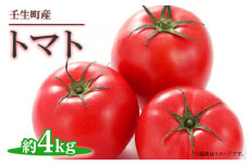 《令和6年産 先行受付開始》トマト 約4kg ｜ 産地直送 野菜 とまと 夏野菜 果物 くだもの 栃木県 壬生町
※2024年3月中旬頃より順次発送予定
※着日指定不可