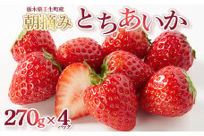 【先行受付】とちあいか 約270g×4パック ｜ いちご 苺 イチゴ 果物 フルーツ 人気 数量限定 カクテル ヨーグルト スムージー 旬 栃木県 壬生町 ※2025年1月中旬～3月下旬頃に順次発送予定