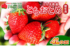 とちおとめ 320g×2パック 4Lサイズ ｜ いちご 苺 イチゴ 贈答 フルーツ 果物 国産 平積み　※2026年1月中旬頃より順次発送予定