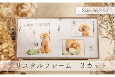 ポートレート撮影 （クリスタルフレーム3カット） ｜ 撮影 写真 スタジオ 写真館 記念日 誕生日 お祝い 思い出 ペット 犬 ギフト プレゼント 記念撮影 栃木県 壬生町