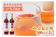みぶおとめ 500ｍL 2本
※2024年8月頃より順次発送予定