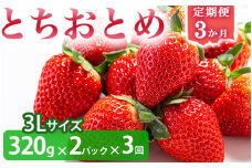 ＜いちご3か月定期便＞栃木県産とちおとめ 320g×2パック 3Lサイズ 3回 | 栃木県 壬生町 いちご 苺 イチゴ とちおとめ フルーツ 果物 新鮮 平積み 産地直送 2026年1月 2月 3月 ※2026年1月中旬頃より順次発送予定 ※離島への配送不可