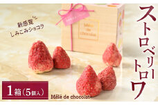 大人気スイーツショップ Mele de chocolat（メレ・ド・ショコラ）ストロベリー トロワ 1箱｜栃木県壬生町 琴寄農園産とちおとめ、とちあいか、スカイベリー 3種のブランド苺使用の贅沢スイーツ