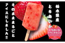 フルーツパーラーMib-TOWN 栃木県産「とちあいか」の苺まるごとアイスキャンディー10本セット