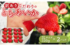 「訳あり」とちあいか3Lサイズ320g×2パック｜ 訳あり とちあいか いちご 苺 栃木県 果物 フルーツ ※北海道・沖縄・離島への配送不可 ※2025年1月中旬～3月中旬頃に順次発送予定
