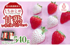 甘熟いちご食べくらべセットとちおとめ＆ミルキーベリー270g×2p ｜ とちおとめ いちご 苺 栃木県 果物 フルーツ ※北海道・沖縄・離島への配送不可 ※2026年1月上旬～4月中旬頃に順次発送予定
