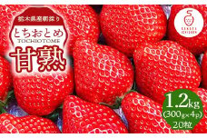 甘熟とちおとめ 20粒 各300g×4p ｜ とちおとめ いちご 苺 栃木県 果物 フルーツ ※北海道・沖縄・離島への配送不可 ※2026年1月上旬～4月中旬頃に順次発送予定