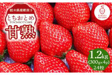 甘熟とちおとめ 24粒 各300g×4p ｜ とちおとめ いちご 苺 栃木県 果物 フルーツ ※北海道・沖縄・離島への配送不可 ※2026年1月上旬～4月中旬頃に順次発送予定