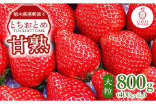 栃木県産朝採り甘熟とちおとめ12～18粒の大粒を2パックでお届け400g×2p ｜ とちおとめ いちご 苺 栃木県 果物 フルーツ ※北海道・沖縄・離島への配送不可 ※2026年1月上旬～4月中旬頃に順次発送予定