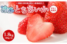 【訳あり】冷凍いちご とちあいか 1.8kg（300g×6） ｜ 生産者直送 人気の新品種 無選別訳あり 冷凍 いちご 栃木県壬生町産 果物 フルーツ 苺 イチゴ スムージー ジャム 不揃い 小分け