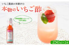 琴寄農園産スカイベリー100％使用 いちご農家が手掛けた「本物のいちご酢」 無添加 飲む果実酢 4倍希釈タイプ