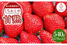 栃木県産甘熟とちおとめ 270g×2p ｜ とちおとめ いちご 苺 栃木県 果物 フルーツ ※北海道・沖縄・離島への配送不可 ※2026年1月上旬～4月中旬頃に順次発送予定