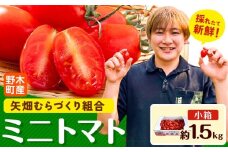 【先行予約】ミニトマト 約1.5kg 1箱 小箱 栃木県 野木町産 矢畑むらづくり組合 《2025年10月上旬-2026年6月下旬頃出荷》栃木県 野木町 トマト ミニトマト 野菜 新鮮