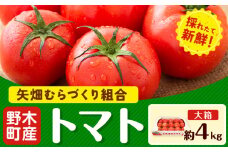 【先行予約】トマト 約4kg 大箱 栃木県 野木町産 矢畑むらづくり組合 《2025年10月上旬-2026年6月下旬頃出荷》栃木県 野木町 トマト 野菜 新鮮