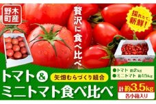 【先行予約】トマト 小箱 約2kg + ミニトマト 小箱 約1.5kg 食べ比べ 栃木県 野木町産 矢畑むらづくり組合 《2025年10月上旬-2026年6月下旬頃出荷》栃木県 野木町 トマト ミニトマト 野菜 新鮮