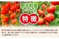 ※生産状況により、写真とは別の品種のミニトマトとなる場合がございます。