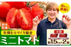 ミニトマト 約1.5kg 2箱 小箱 栃木県 野木町産 矢畑むらづくり組合 《2025年10月上旬-2026年6月下旬頃出荷》栃木県 野木町 トマト ミニトマト 野菜 新鮮