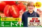 ※生産状況により、写真とは別の品種のミニトマトとなる場合がございます。