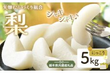 N05 梨 なし にっこり梨 5kg フルーツ 先行予約 矢畑むらづくり組合《9月下旬-10月中旬頃出荷》 栃木県【栃木県共通返礼品　栃木県産】【配送不可地域あり】(離島)