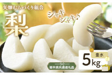 N03 梨 なし 豊水 5kg フルーツ 先行予約 矢畑むらづくり組合《8月下旬-9月中旬頃出荷》 栃木県【栃木県共通返礼品　栃木県産】【配送不可地域あり】(離島)