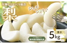 N03 梨 なし 豊水 5kg フルーツ 先行予約 矢畑むらづくり組合《8月下旬-9月中旬頃出荷》 栃木県【栃木県共通返礼品　栃木県産】【配送不可地域あり】(離島)