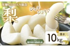 N03 梨 なし 豊水 10kgフルーツ 先行予約 矢畑むらづくり組合《8月下旬-9月中旬頃出荷》 栃木県【栃木県共通返礼品　栃木県産】【配送不可地域あり】(離島)