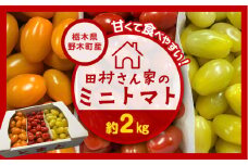 田村さん家のミニトマト約2kg【栃木県野木町産】田村農園《11月上旬-7月下旬に出荷予定(土日祝除く)》トマト ミニトマト 野菜 新鮮 リコピン ビタミン 美容