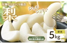 N07 梨 なし 新高梨 5kg フルーツ 先行予約 矢畑むらづくり組合《9月中旬-9月末頃出荷》 栃木県【栃木県共通返礼品　栃木県産】【配送不可地域あり】(離島)