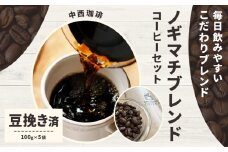 ノギマチブレンドコーヒーセット 100g×5袋 豆挽き済 粉 NA02 中西珈琲《30日以内に出荷予定(土日祝除く)》栃木県 野木町 ノギマチブレンドコーヒー ブラジル グァテマラ エチオピア オリジナルブレンド コーヒー 珈琲
