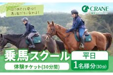乗馬 スクール 体験 チケット 30分 平日 1名様分 クレイン栃木 《30日以内に出荷予定(土日祝除く)》栃木県 野木町 馬 乗馬体験 チケット 初心者 OK