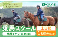 乗馬 スクール 体験 チケット 30分 土日祝 1名様分 クレイン栃木 《30日以内に出荷予定(土日祝除く)》栃木県 野木町 馬 乗馬体験 チケット 初心者 OK