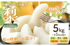梨 定期便 5kg 計5回 矢畑むらづくり組合《7月下旬-10月中旬頃出荷》栃木県 野木町 お楽しみ フルーツ 先行予約　食べ比べ 幸水梨 豊水梨 にっこり梨 新高梨 あきづき 栃木産 果物【栃木県共通返礼品　栃木県産】【配送不可地域あり】(離島)