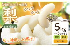 梨 定期便 5kg 計3回 矢畑むらづくり組合《7月下旬-9月下旬頃出荷》栃木県 野木町 お楽しみ フルーツ 食べ比べ 幸水梨 豊水梨 にっこり梨 新高梨 あきづき 栃木産 果物【栃木県共通返礼品　栃木県産】【配送不可地域あり】(離島)