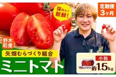 【先行予約】【3ヶ月定期便】ミニトマト 約1.5kg 1箱 小箱 栃木県 野木町産 矢畑むらづくり組合 《2025年10月上旬-2026年6月下旬頃出荷》栃木県 野木町 トマト ミニトマト 野菜 新鮮