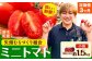 ※生産状況により、写真とは別の品種のミニトマトとなる場合がございます。