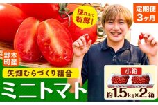 【先行予約】【3ヶ月定期便】ミニトマト 約1.5kg 2箱 小箱 栃木県 野木町産 矢畑むらづくり組合 《2025年10月上旬-2026年6月下旬頃出荷》栃木県 野木町 トマト ミニトマト 野菜 新鮮