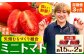 ※生産状況により、写真とは別の品種のミニトマトとなる場合がございます。