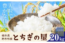 先行予約 令和7年産 米 お米 白米 精米 とちぎの星 20kg 5kg × 4袋《2025年12月下旬-2月下旬頃出荷》 栃木県 野木町産 コメ 米 ブランド米 とちぎのほし