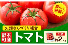 トマト 約2kg 小箱 栃木県 野木町産 矢畑むらづくり組合 《2025年10月上旬-2026年6月下旬頃出荷》栃木県 野木町 トマト 野菜 新鮮