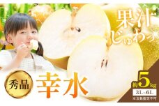 梨 幸水 秀品 約5kg 3L ～ 6L 井岡農園 《8月上旬-8月末頃に出荷予定》 栃木県 野木町 なし ナシ くだもの 果物 青果物 フルーツ