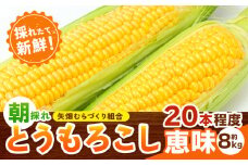 とうもろこし 恵味 約8kg 20本入り 約8kg 20本入り 朝採れ クール便 野木町産 矢畑むらづくり組合 《2026年6月下旬-7月下旬頃出荷》栃木県 野木町 トウモロコシ 野菜