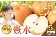 梨 豊水 秀品 約5kg 4L ～ 6L  井岡農園 《8月下旬-9月中旬頃に出荷予定》 栃木県 野木町 なし ナシ くだもの 果物 青果物 フルーツ